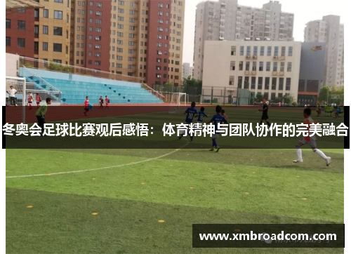 冬奥会足球比赛观后感悟：体育精神与团队协作的完美融合