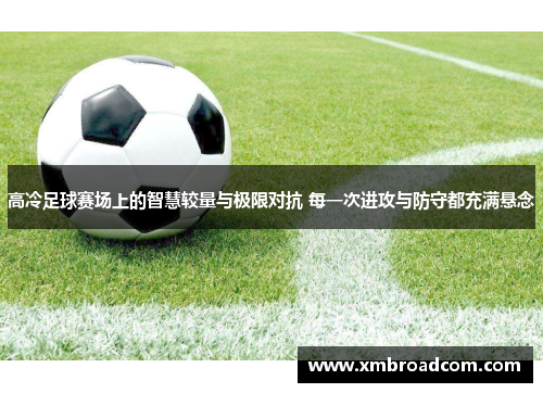 高冷足球赛场上的智慧较量与极限对抗 每一次进攻与防守都充满悬念