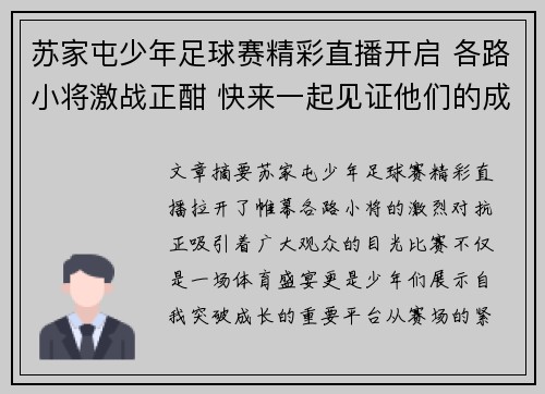 苏家屯少年足球赛精彩直播开启 各路小将激战正酣 快来一起见证他们的成长与突破